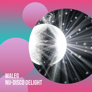 Nu-Disco Delight