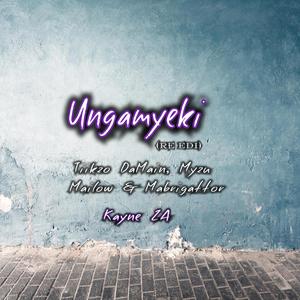 Ungamyeki (feat. Tiikzo DaMain, Myzu x Mailow & Mabrigattor) (Re Edit)