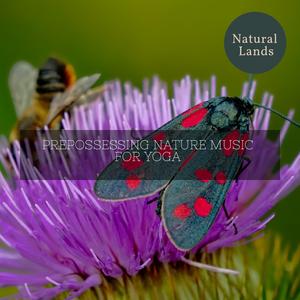 Boisterous Midday Mountain