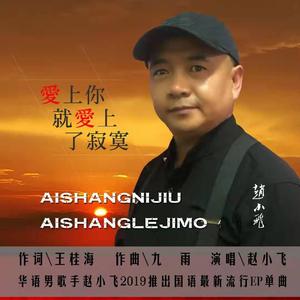 爱上你就爱上寂寞