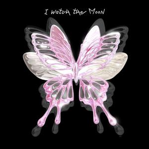 I Watch The Moon（你干嘛）