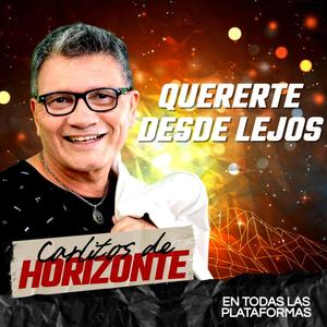 QUERERTE DESDE LEJOS