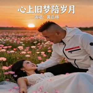 我们的青春喂了狗