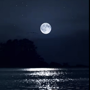 Ayding kiqa月亮代表我的心