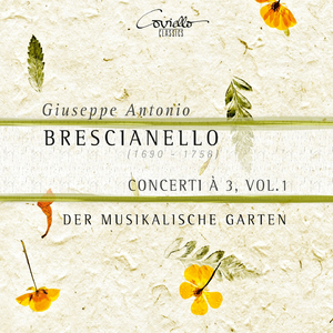 Concerto terzo in G Minor: II. Allegro