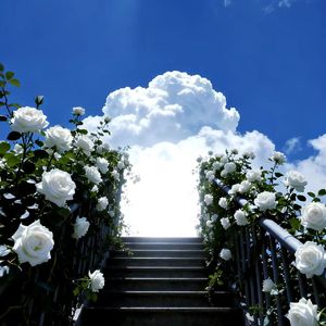 Know Me（王以太 / R&B / Soul / Boombap Type Beat)