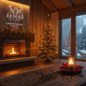 Bine ai venit Decembrie