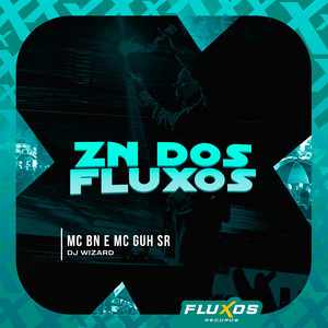 Zn dos Fluxos