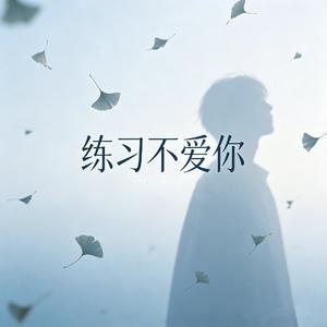 练习不爱你