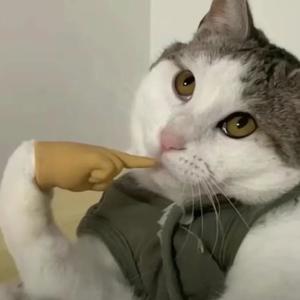 【正太版】我是逆蝶