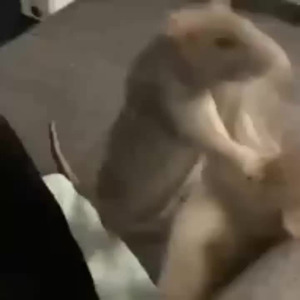 Let Me Hear Ya Say (sped up)