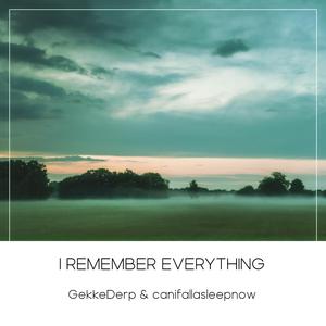 I Remember Everything (feat. canifallasleepnow)