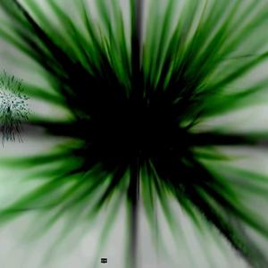 Frozen in Time and Space