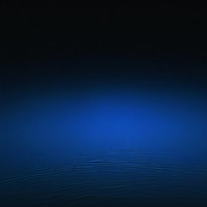 THE NIGHT IN BETWEEN