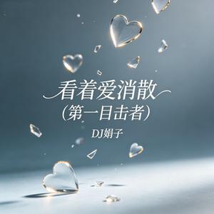 看着爱消散(第一目击者)