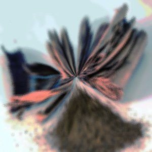 Muhly