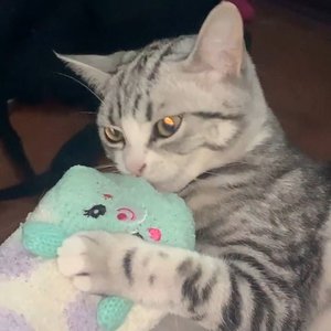 l奇又六prod.byJeston