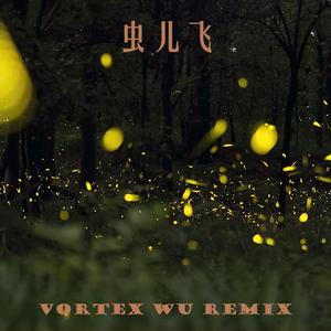 虫儿飞（Vortex Remix）