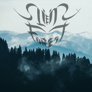 Forest of Dawn