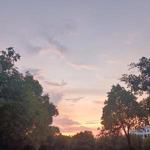 没什么遗憾的 恢复原状罢了