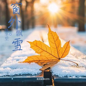 窗外飘雪寒冬至