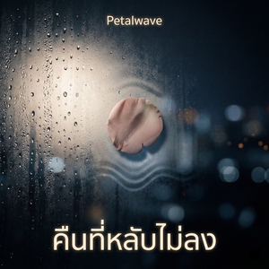 คืนที่หลับไม่ลง