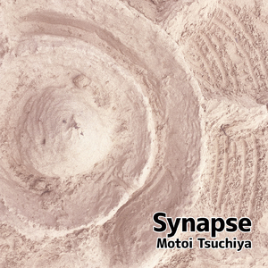Synapse