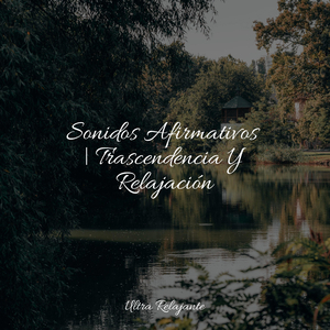 Hamaca En Los Árboles