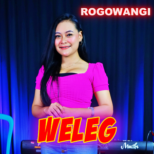 Weleg