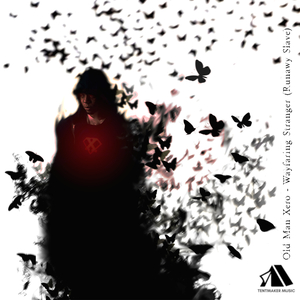 Wayfairing Stranger, Runaway Slave (Instrumental)