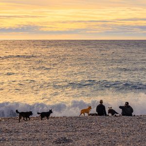 Fu1sheng-理想三旬