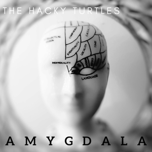 Amygdala