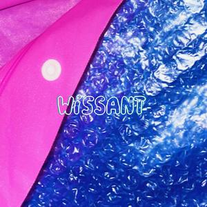 Wissant