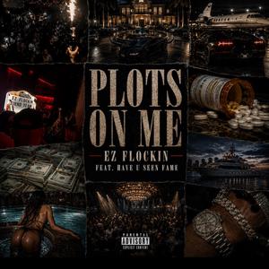 Plots On Me (feat. Haveuseenfame)