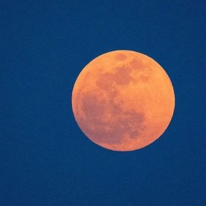 泪雨红装（翻自 格子兮）