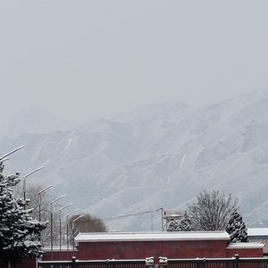 里边的人想出去，外边的人想进来