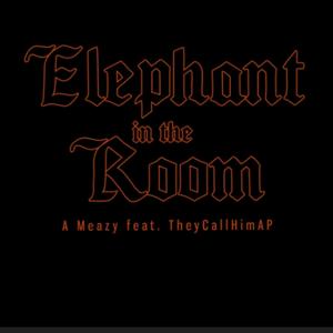 Elephant In The Room