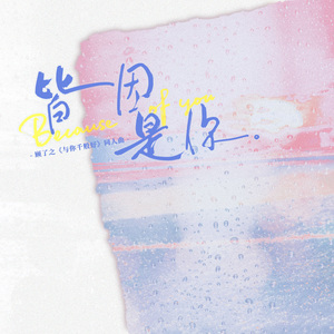 皆因是你——顾了之《与你千般好》