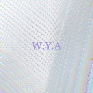 W.Y.A