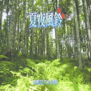 夏夜风铃 你会哭吗？