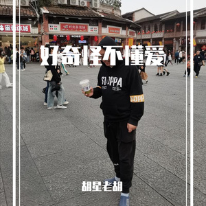 好奇怪不懂爱 伴奏