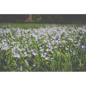 바람에 날려 보낸다