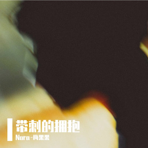 带刺的拥抱