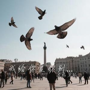 我给你爱你别把我伤害 (Cover 万海东)