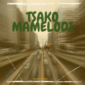 Tsako Mamelodi