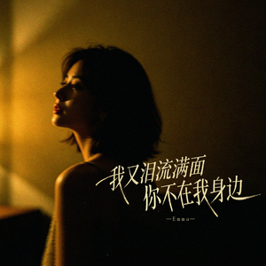 我又泪流满面你不在我身边