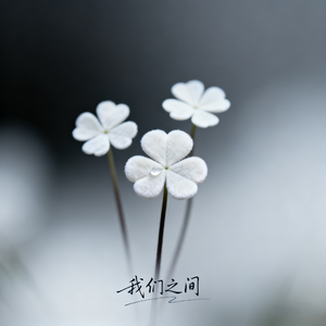 我们之间(feat.Marin Su)