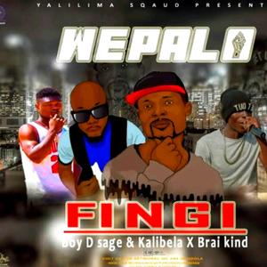 Wepalo (feat. Brai kid, Kalibela & Boyd sage)