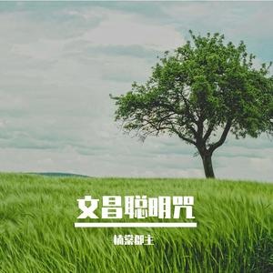 文昌开心聪明咒