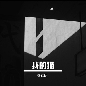 我的猫
